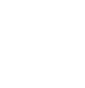 RunPal logo